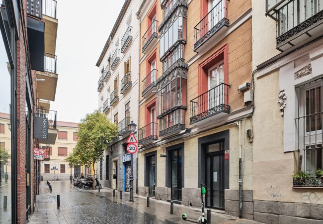 Apartamento en Madrid - Impresionante apartamento en chueca