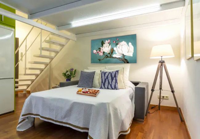 Apartamento en Madrid - sol16